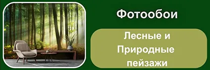 Fotooboi-Lesnye-i-Prirodnye-pejzazhi.webp