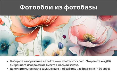 Фотообои Shutterstock