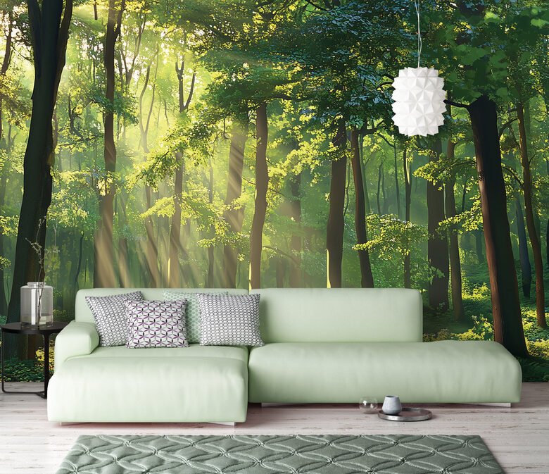 Fototapete: Maģiskais Mežs