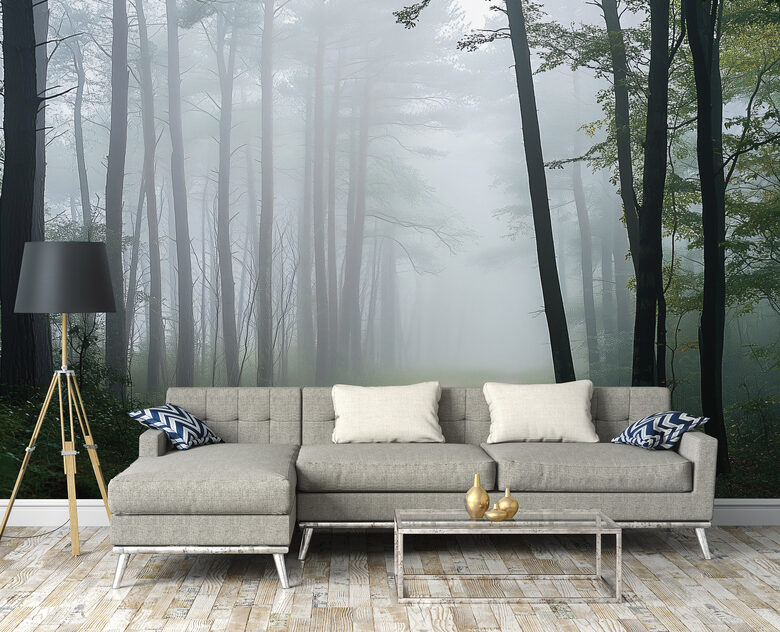 Fototapete: Mistiska Meža Taka Miglā