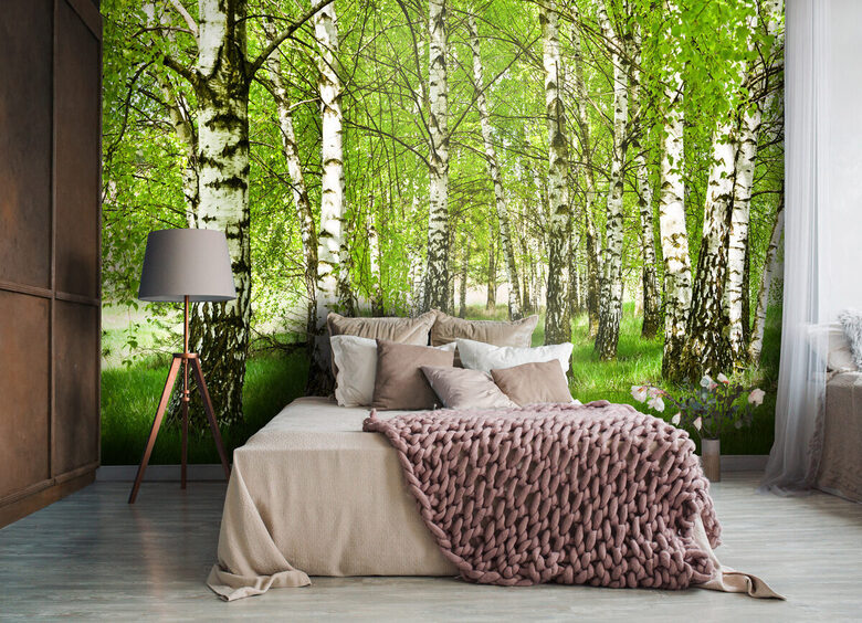 Wall Mural: Morning in a Birch Grove