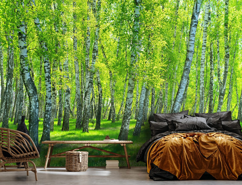Wall Mural: Birch Grove in Spring