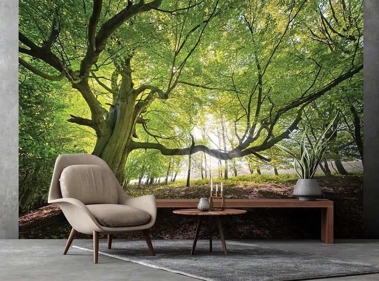 Wall Mural: Mossy Forest Tree in Sunbeams