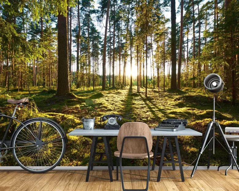 Fototapete: Saulains Priežu Mežs