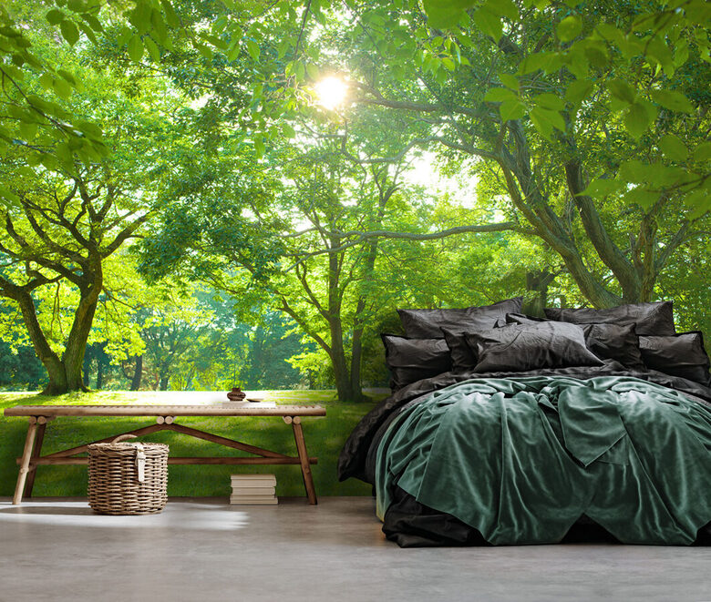 Wall Mural: Sunny Forest Glade 