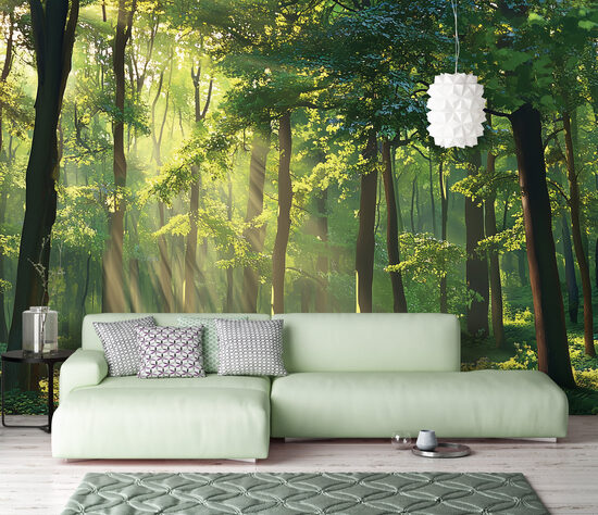 Fototapete - brīnumskaistais mežs (Kods:15449)