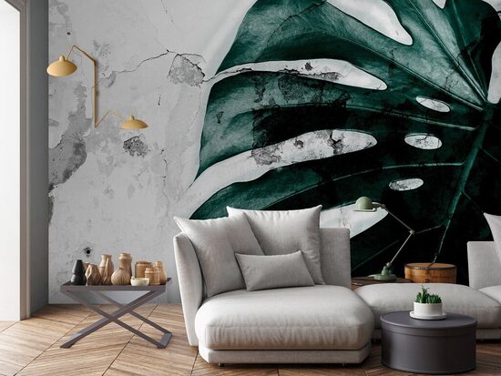 Fototapete: Tumši Zaļa Monstera Lapa 