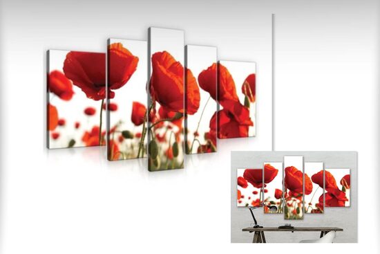 Kanvas Komplekts: Magones Ziedu Pļava