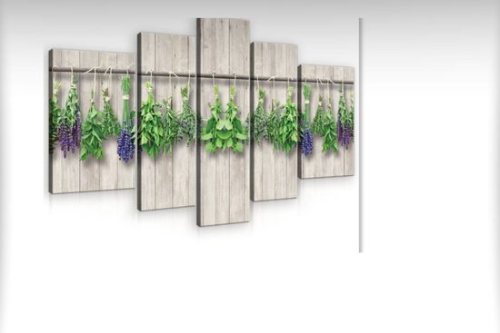 Kanvas Komplekts:  Garšaugi 