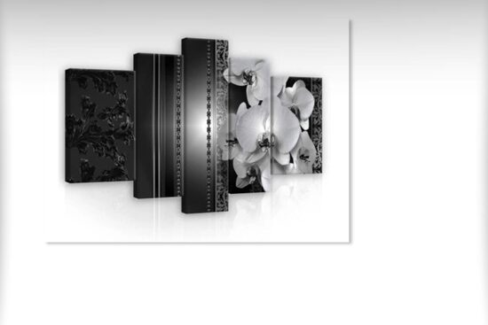 Kanvas Komplekts: Melnbaltas Orhidejas