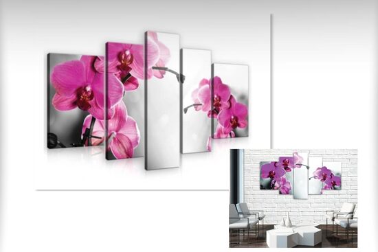Kanvas Komplekts: Rozā Orhidejas 