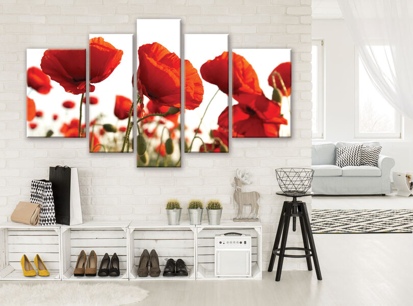 Audekla Kanvas Komplekts: Magones Ziedu Pļava (5 Daļas, Sarkani Ziedi, Kontrasts, Daba, Pavasaris, Romantika)