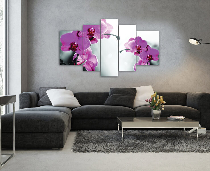 Audekla Kanvas Komplekts: Rozā Orhidejas uz Melnbalta Fona (5 Daļas, Kontrasts, Elegants, Mūsdienīgs)