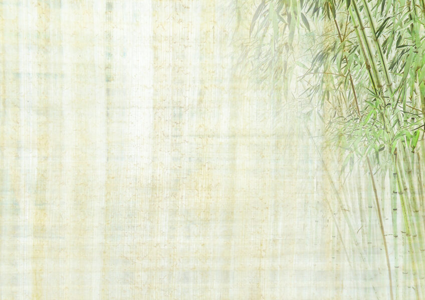 Wallpaper VRO BG 105
