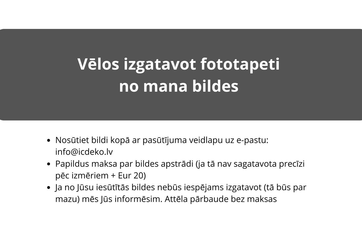 Fototapetes_izgatavosana_no_manas_bildes_001.jpg